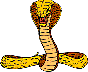 bigcobragraphic.jpg