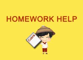 homework help year 10