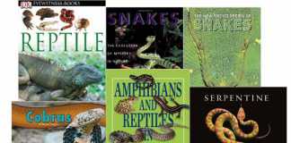 Reptile and Snake Books