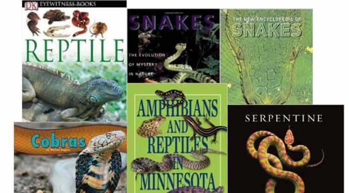 Snake Books: Cobra Reading Room Reptile and Snake Books
