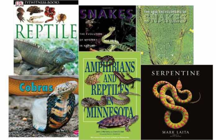 Reptile and Snake Books