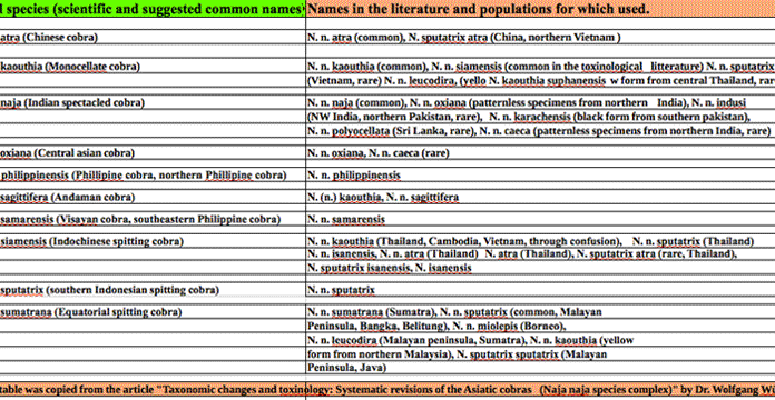 Types of Cobras: The Secret List Cobra Taxonomy