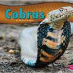 Cobras