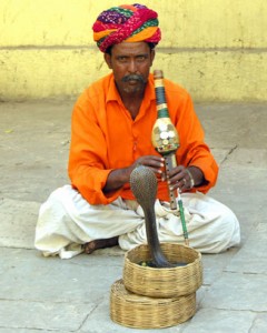 snake charmer