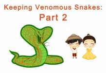 Keeping venomous snakes
