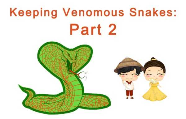 Snake Handling Equipment: HOTS 101 Part 2 Keeping venomous snakes