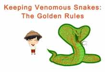 Keeping Venomous Snakes