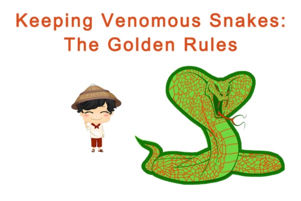 Keeping Venomous Snakes