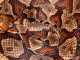 First Hand: Bitten By A Northern Copperhead Northern Copperhead
