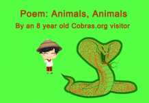snake poem