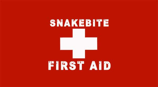 snake bite first aid