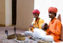 Snake Charmers