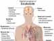 Information and Treatment for Snake Bite Snakebite Symptoms