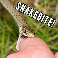 Snakebite-200x200-1