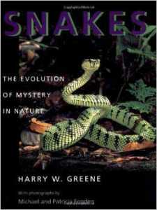 Snakes-The Evolution of Mystery in Nature