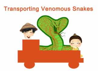 Transporting Venomous Snakes