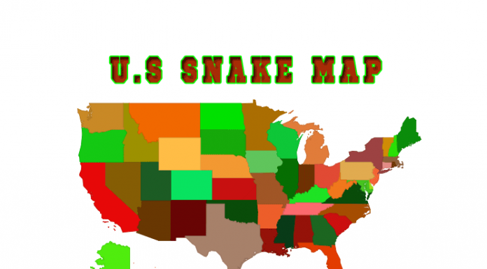 North American Snakes: U.S Interactive Map North American Snakes Map