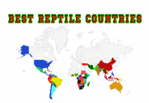 Map: Best Reptile Habitat in the World Reptile Habitat