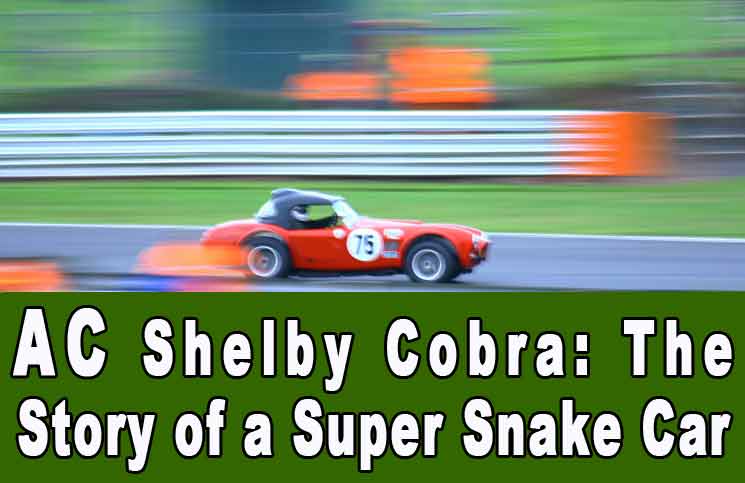 Shelby Cobra Car