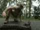 Watch: Deadliest Snake in the World – Part 1