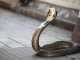 Cobra Attack: Man Bitten in Toilet Cobra Attack
