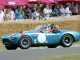 Cobra Car: 10 Reasons For Buying A Snake Car cobra car