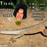 lizard facts