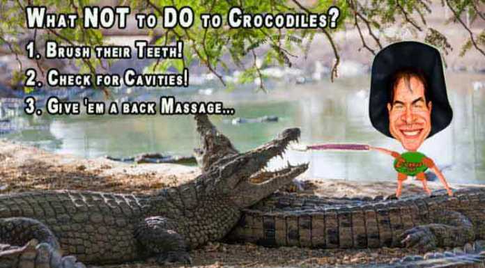 Cartoon: What NOT To Do When Meeting A Crocodile Crocodiles