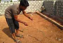 Rescuing a Spectacled Cobra