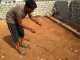 Rescuing a Spectacled Cobra