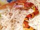 Famous Sunshine State Snakes: Who Is the Florida Brown Snake ? corn snake