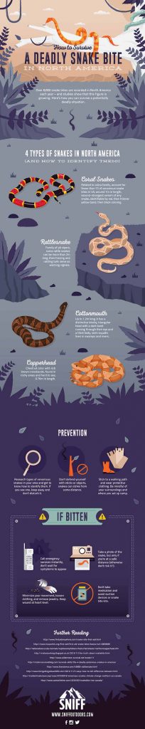 How To Prevent (and Survive!) A Deadly Snake Bite In North America 