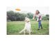 5 Essential Rules In Giving Dog Treats Dog Treats