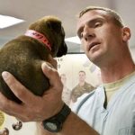 Man’s Best Friend Has a New Best Friend: CBD Oil CBD Oil