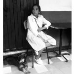 Best Pet Suggestions For Aging Seniors best pet suggestions for seniors