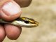 5 Reasons Why You Should Choose A Humane Snake Removal Service Humane Snake Removal