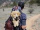 4 Crucial Things You Should Teach Your Puppy teach your puppy