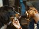 Unique Uses of CBD Oil for Pets CBD oil for pets