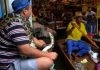 How To Properly Care For Snakes