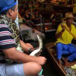 Reptile Care Tips For Beginners: How To Properly Care For Snakes How To Properly Care For Snakes