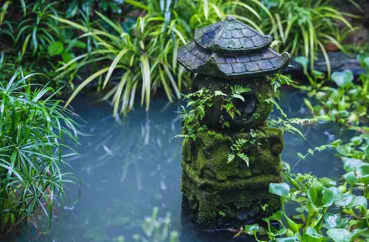 small garden pond