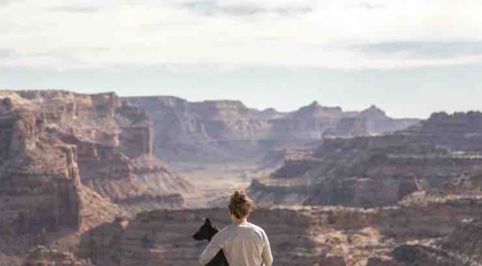 10 Benefits of Pets for People With Bipolar Disorder Benefits of Pets for Bipolar Disorder