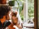 Cats and Mental Health: Exploring the Psychological Benefits of Having Cats benefits of cats