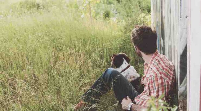 How Do Dogs Help With Depression? how do dogs help with depression