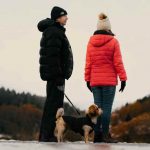 All About Dog Clothing: Should You Buy Dog Tanks? dog pants
