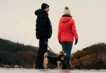 All About Dog Clothing: Should You Buy Dog Tanks? dog pants