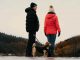 All About Dog Clothing: Should You Buy Dog Tanks? dog pants