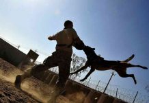 Learn How To Be Better Prepared For Emergencies how to be prepared for emergencies
