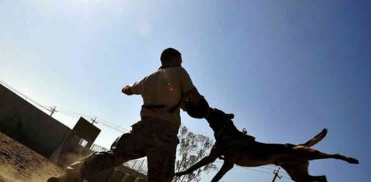 Learn How To Be Better Prepared For Emergencies how to be prepared for emergencies