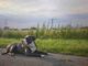 Taking Care of an American Bully Taking Care of an American Bully dog